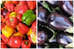 peperoni e melanzanzane