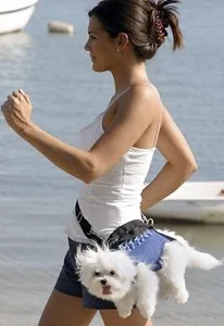 Dimagrire e Correre