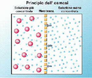 osmosi bevande isotoniche Osmosi bevande isotoniche