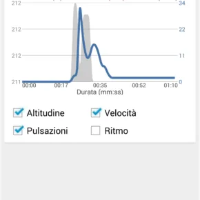 runtastic grafico